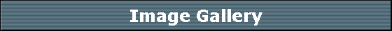 Image Gallery